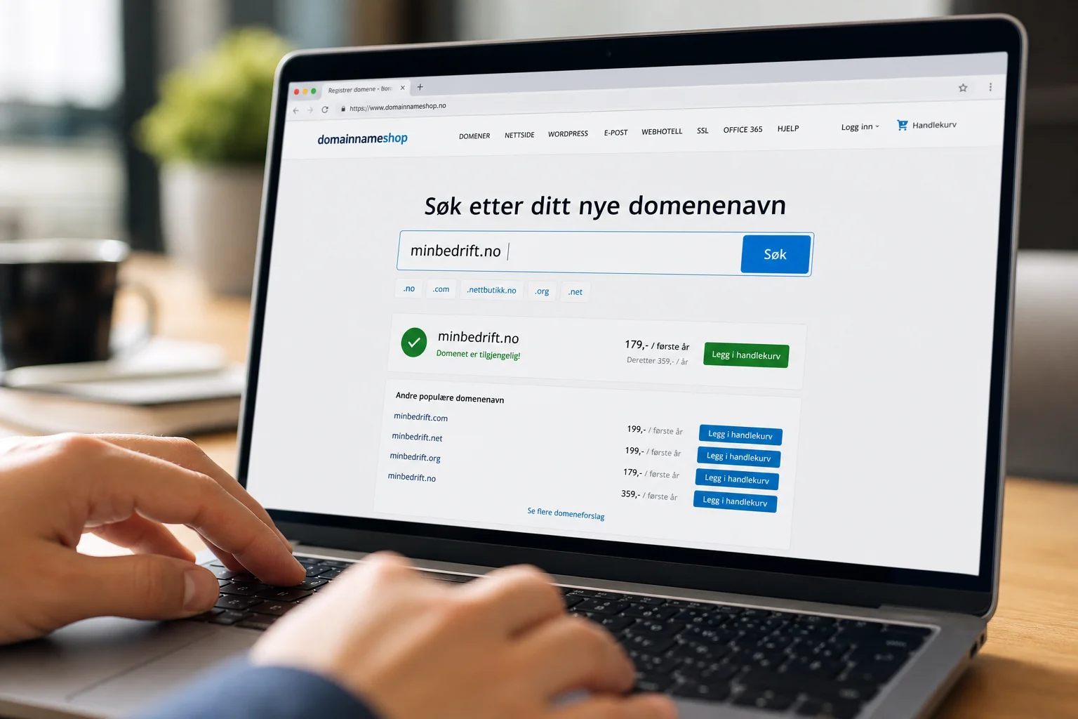 Domeneadministrasjon på datamaskin